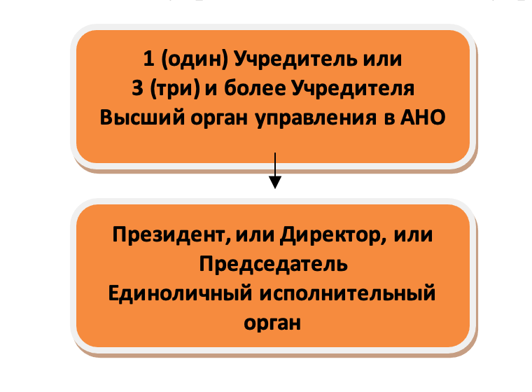 структура управления ано с одним учредителем 